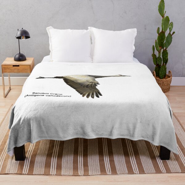 Item preview, Isolated Sandhill Crane 2-2021 designed and sold by Thomasyoung.