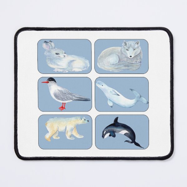 Item preview, Arctic Animals Sticker  designed and sold by davidmurtagh.