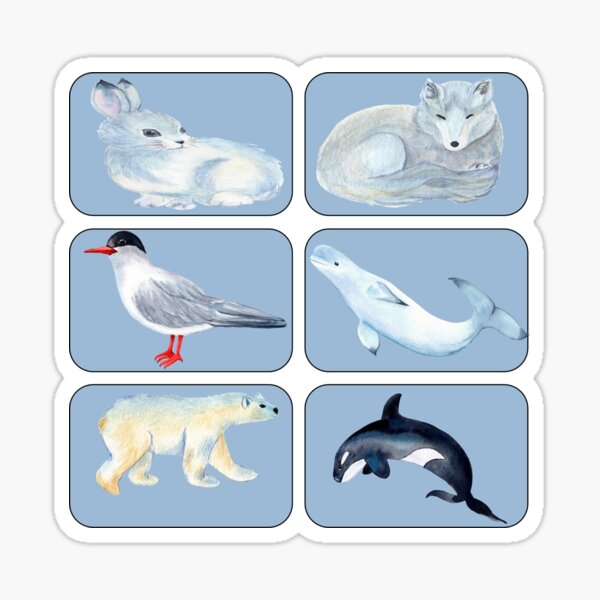 Item preview, Arctic Animals Sticker  designed and sold by davidmurtagh.