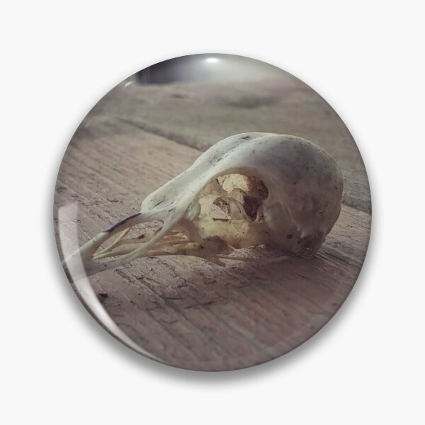 Item preview, bird skull on an old deck designed and sold by nfssmith.