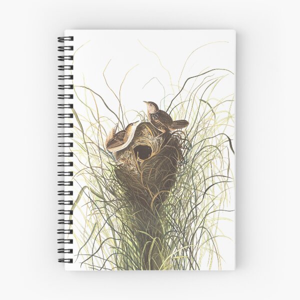 Item preview,  Sedge Wren - John James Audubon designed and sold by billythekidtees.