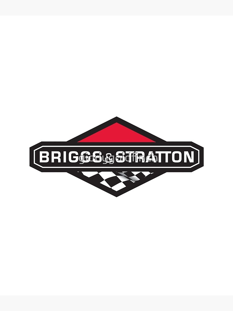 "Sports Briggs and Stratton Engines Logo Briggs and Stratton Power