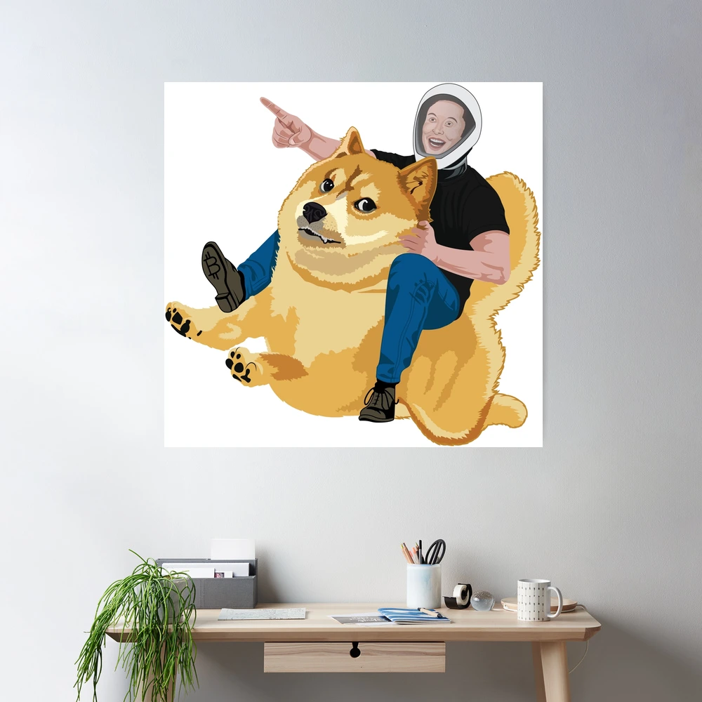 doge shiba inu to the moon elon musk crypto currency