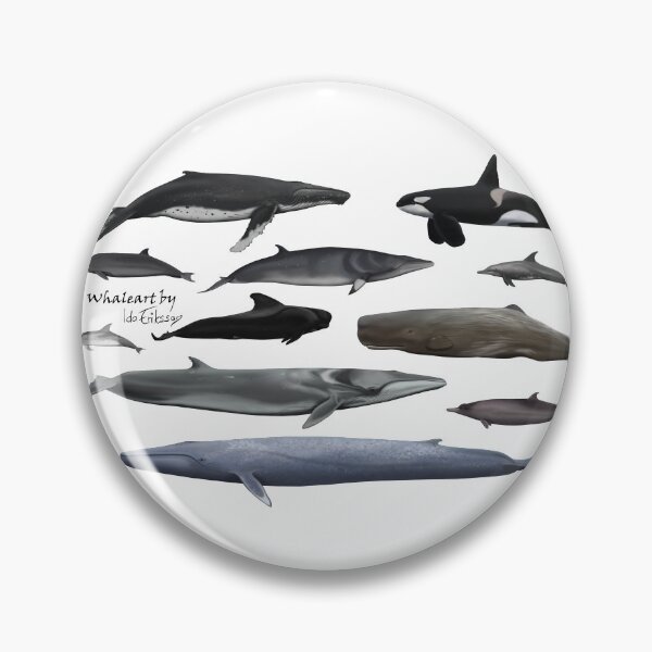 Item preview, Cetaceans without background  designed and sold by Ida Eriksson.