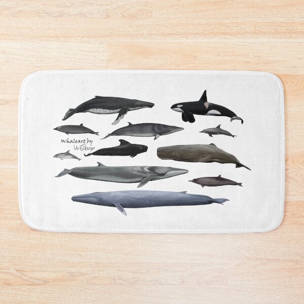 Item preview, Cetaceans without background  designed and sold by Ida Eriksson.