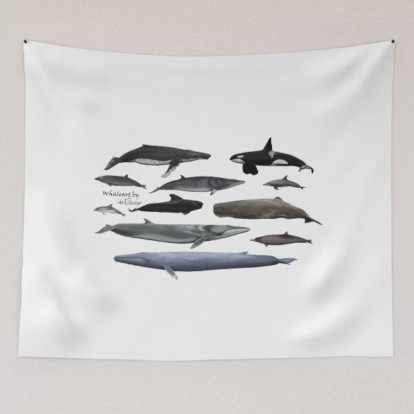 Item preview, Cetaceans without background  designed and sold by Ida Eriksson.