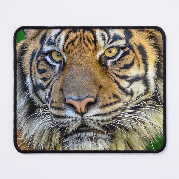 Item preview, Tiger Time designed and sold by JDPine.