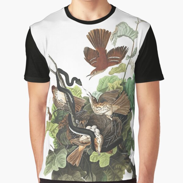 audubon tee shirts