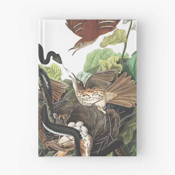 Item preview,  Brown Thrasher - John James Audubon designed and sold by billythekidtees.