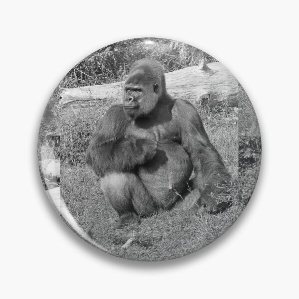 Item preview, r798/  New finition 2021: A gorilla " Silver Back " (7 n&b) (h) "  Star d'un jour... "  Okaio Créations -  Olavia - Olao designed and sold by o.okaïo.