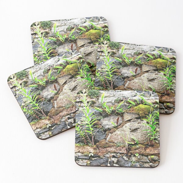 Item preview, Plants growing in an ancient stone wall designed and sold by Shulie1.