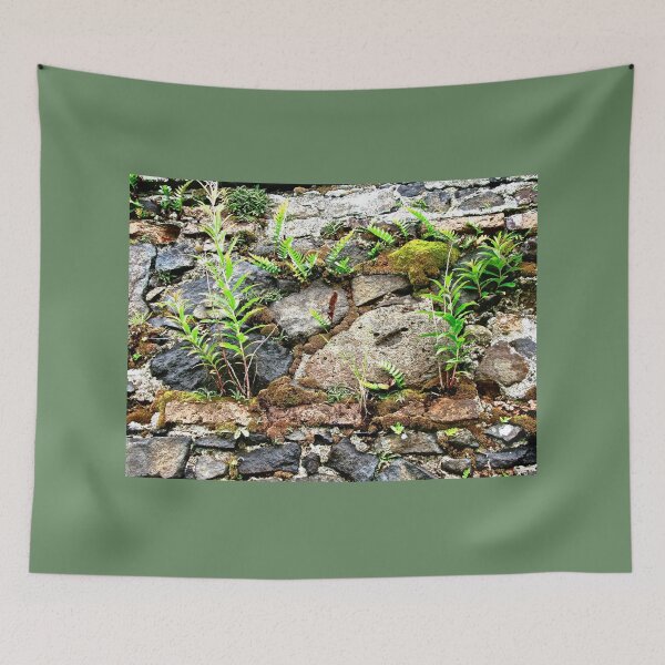 Item preview, Plants growing in an ancient stone wall designed and sold by Shulie1.