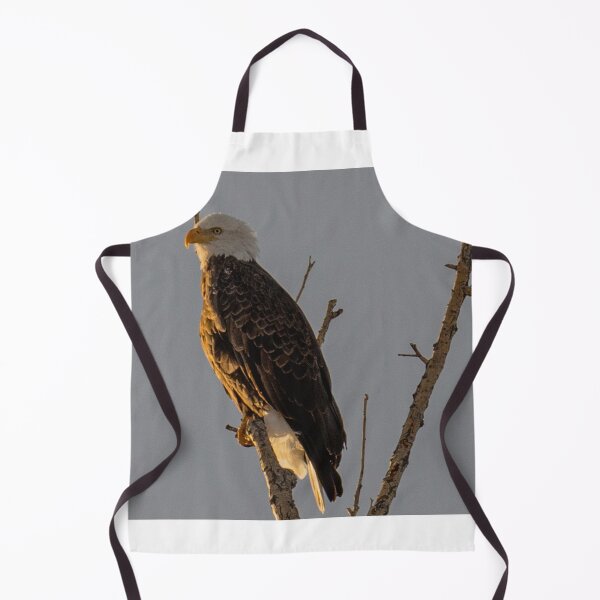 Item preview, Young Bald Eagle In A Tree designed and sold by FreelanceJim.