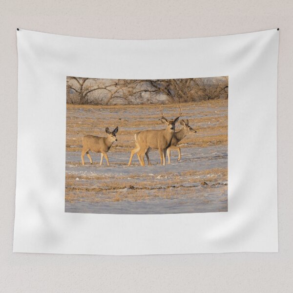 Item preview, A Buck And Family In The Wild designed and sold by FreelanceJim.
