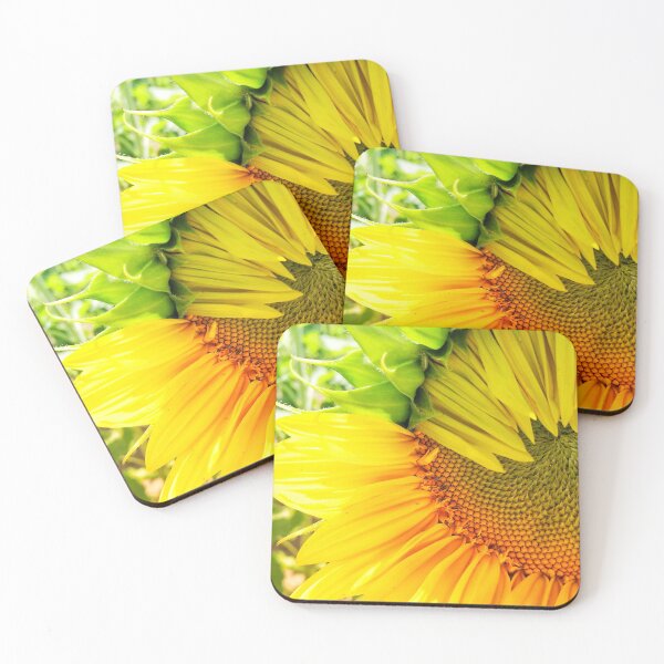 Item preview, Sunflower Photograph designed and sold by Jeda1429.