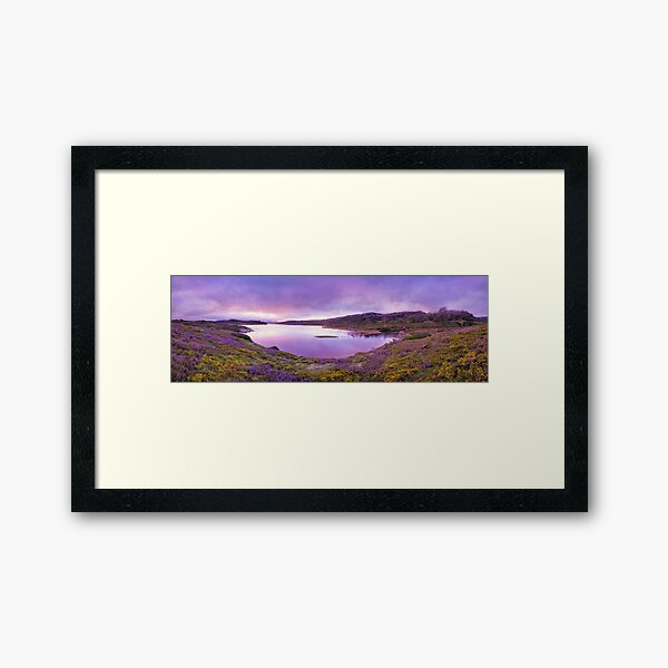 Framed Art Print