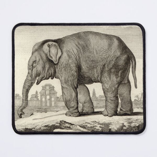 Item preview, 18th C. Female Elephant designed and sold by historicimage.