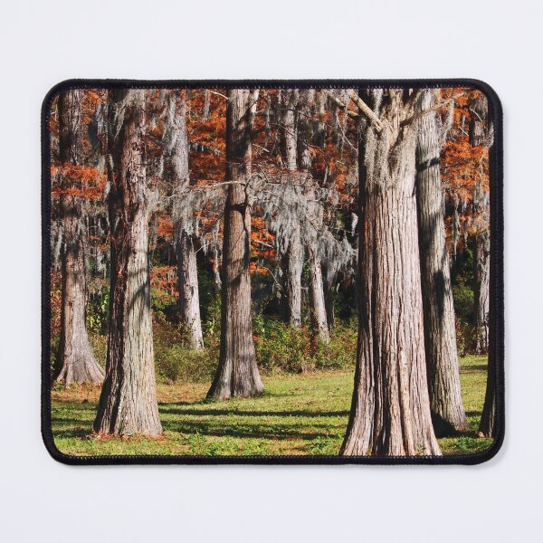 Item preview, Cypress Tree Beauty designed and sold by Cynthia48.