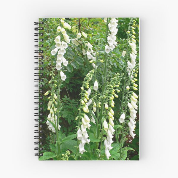 Item preview, White Bells designed and sold by tomg.