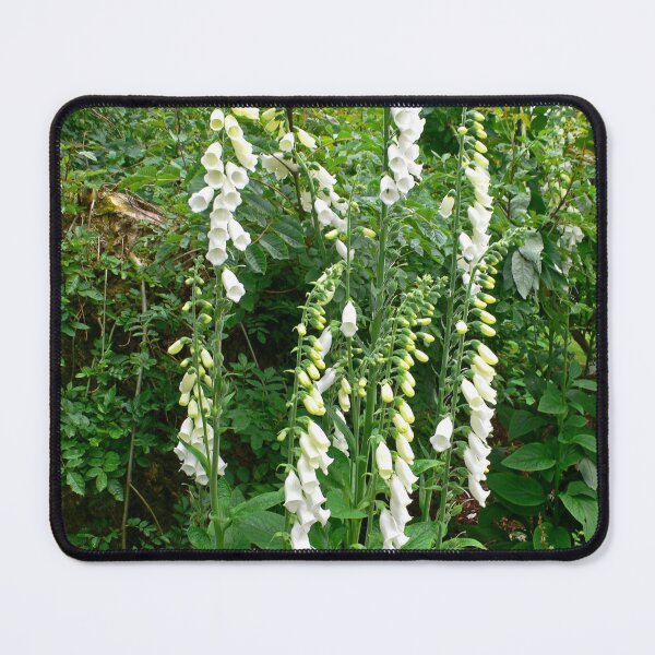 Item preview, White Bells designed and sold by tomg.