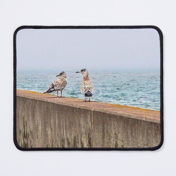 Item preview, Seagull Photography designed and sold by Jeda1429.