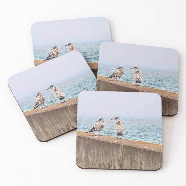Item preview, Seagull Photography designed and sold by Jeda1429.