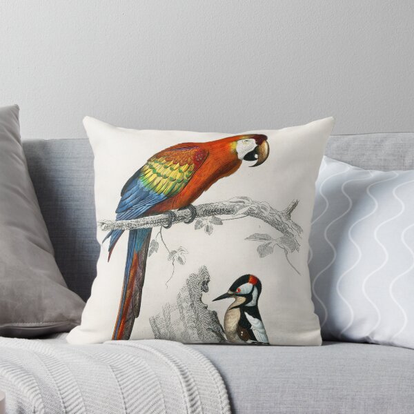 Item preview, Charles Dessalines D 'Orbigny designed and sold by CristoEmilio.
