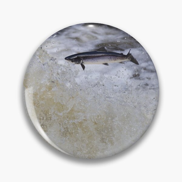 Item preview, Atlantic salmon leaping designed and sold by chanonry.