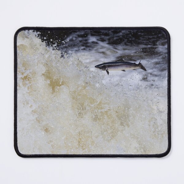 Item preview, Atlantic salmon leaping designed and sold by chanonry.