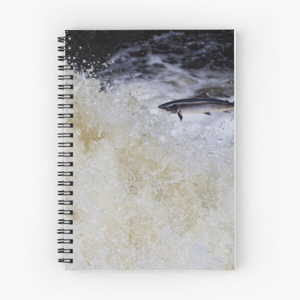 Item preview, Atlantic salmon leaping designed and sold by chanonry.