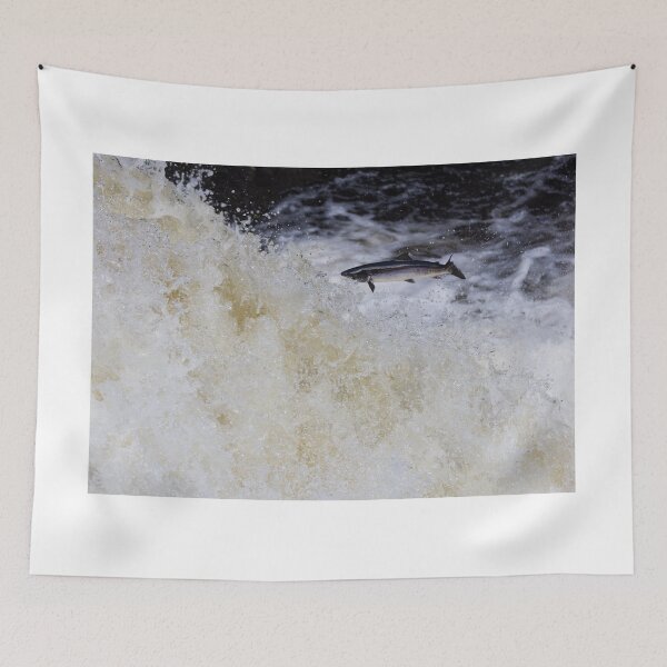 Item preview, Atlantic salmon leaping designed and sold by chanonry.