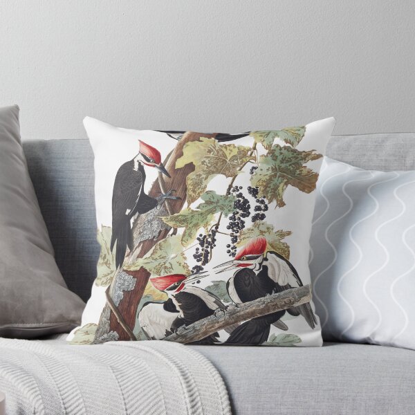 Item preview,  Pileated Woodpecker - John James Audubon designed and sold by billythekidtees.