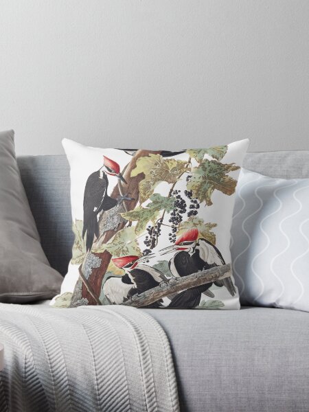 Artikel-Vorschau von Pileated Woodpecker - John James Audubon, designt und verkauft von billythekidtees.