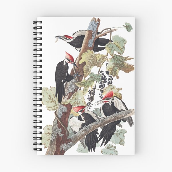 Item preview,  Pileated Woodpecker - John James Audubon designed and sold by billythekidtees.