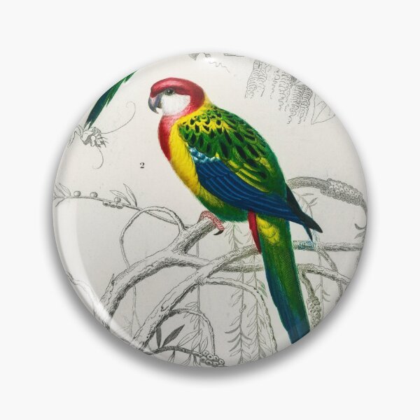 Item preview, Charles Dessalines D 'Orbigny designed and sold by CristoEmilio.
