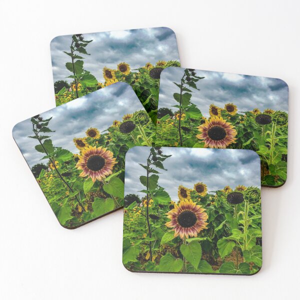 Item preview, Sunflower Field Photography designed and sold by Jeda1429.