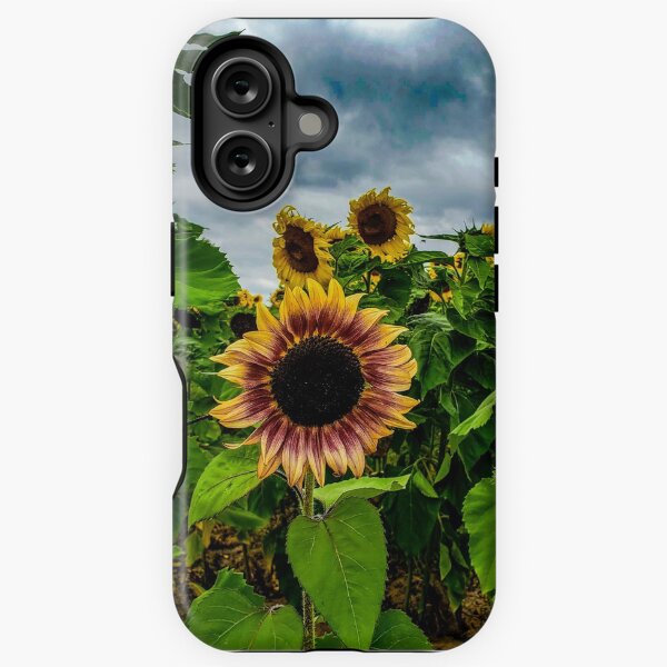 Item preview, Sunflower Field Photography designed and sold by Jeda1429.