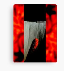 BROKEN/FRAGILE - ORIGINAL PHOTOGRAPHY Canvas Print