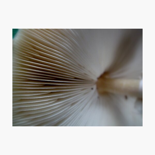 Item preview, Shroom Shot - Side View  ^ designed and sold by ctheworld.