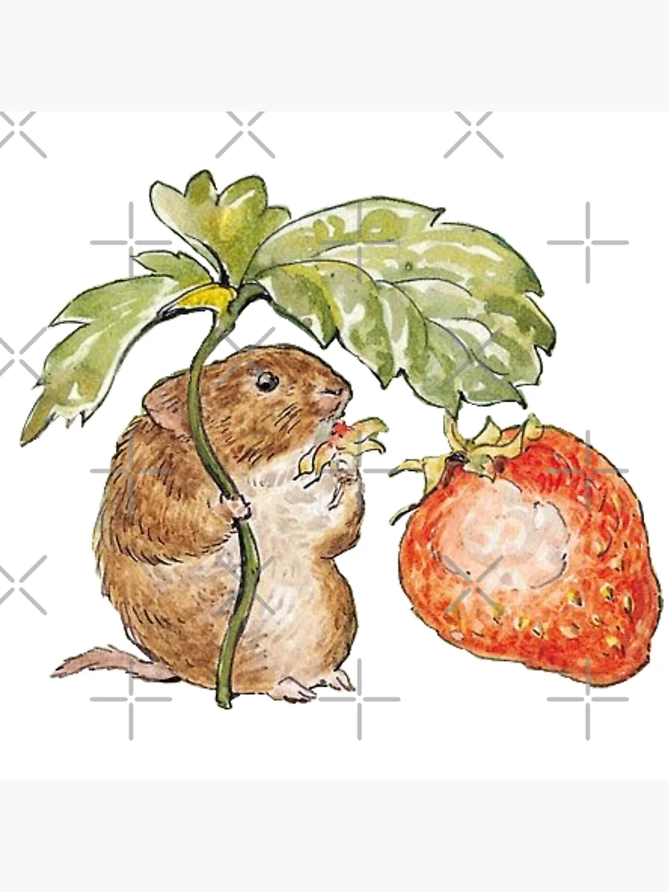 Beatrix Potter Timmy Willie Country Mouse with Strawberry Illustration |  Art Print