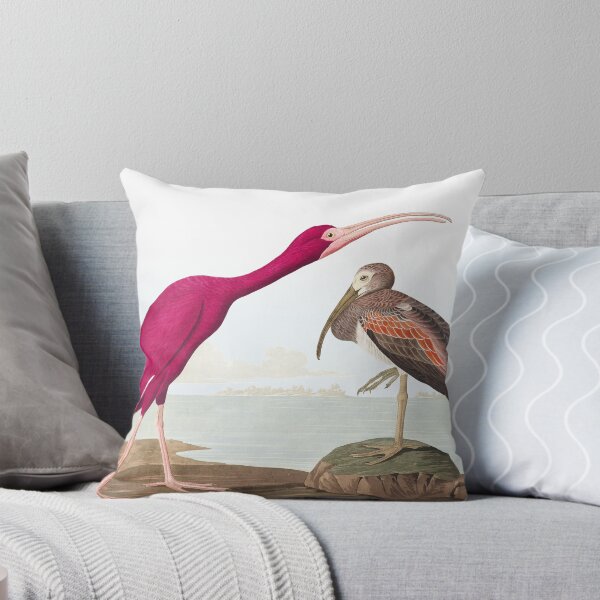 Item preview, Scarlet Ibis - John James Audubon designed and sold by billythekidtees.