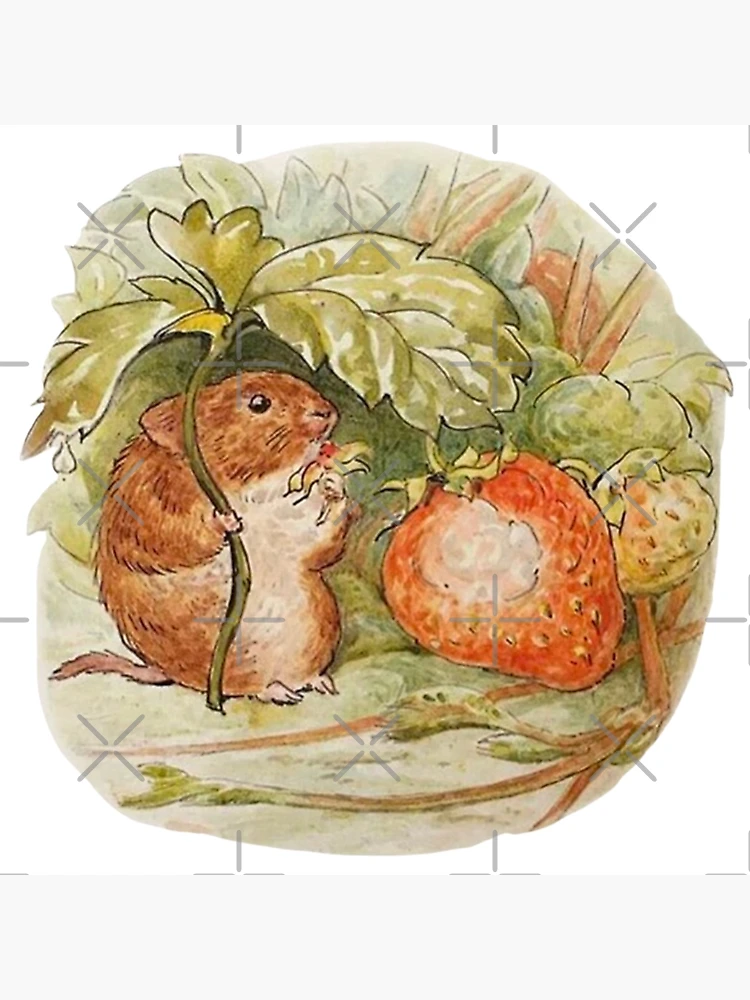 Copy of Beatrix Potter Timmy Willie Country Mouse with Strawberry  Illustration | Poster