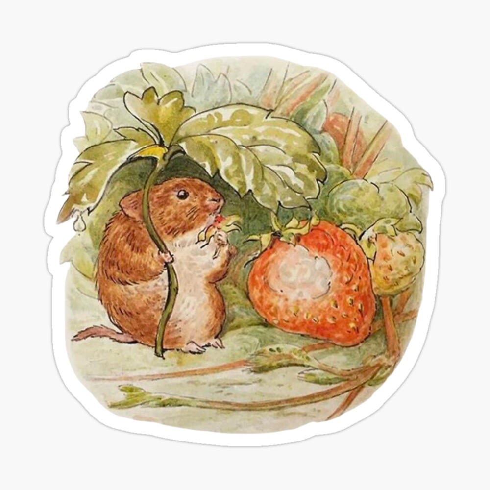 Beatrix Potter Vintage Mr. Jeremy Fisher Frog on Lilly Pad Illustration   Tapestry for Sale by Pinkmagenta