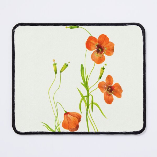Item preview, Wind poppies - Botanical Illustration designed and sold by chimakingthings.