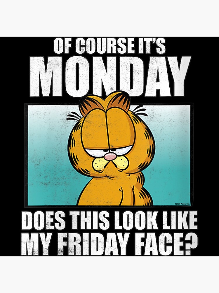 Garfield Of Course Its Mondayfriday Face Photographic Print By