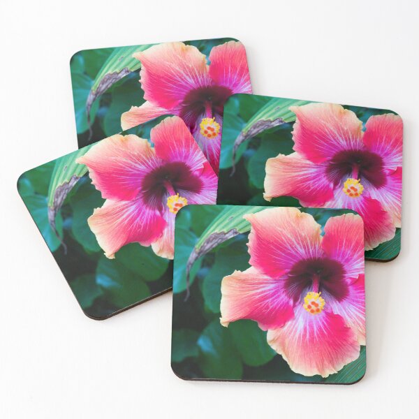 Item preview, Sunshine is the best Medicine designed and sold by mkellermedia.