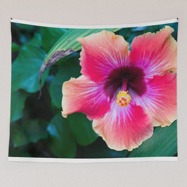 Item preview, Sunshine is the best Medicine designed and sold by mkellermedia.