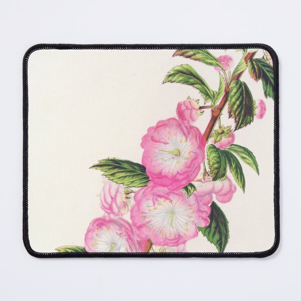 Item preview, Flowering almond - Botanical Illustration designed and sold by chimakingthings.