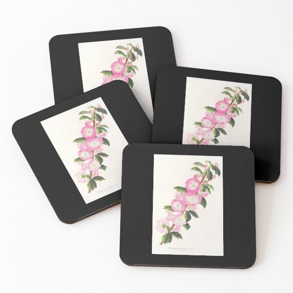 Item preview, Flowering almond - Botanical Illustration designed and sold by chimakingthings.