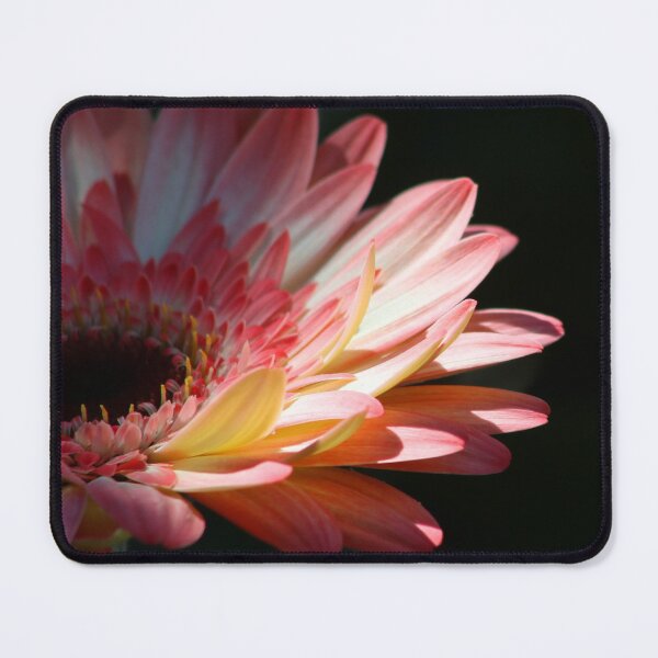 Item preview, Gerbera designed and sold by Gralyn Boyd.